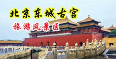 淫荡淫水淫乱中国北京-东城古宫旅游风景区